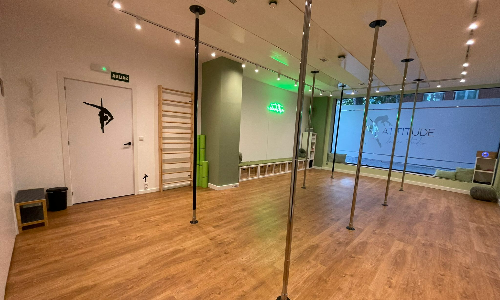 SALA 1 POLE DANCE