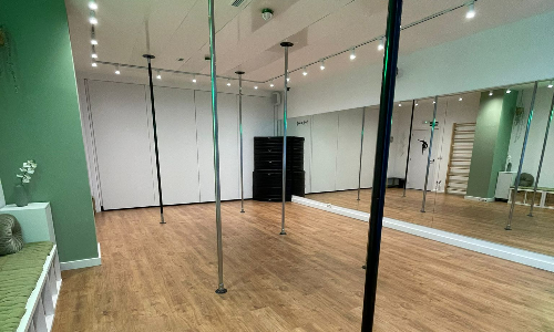 SALA 1 POLE DANCE